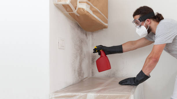 Professional Mold Inspection And Testing technician working in Hyde Park, MA